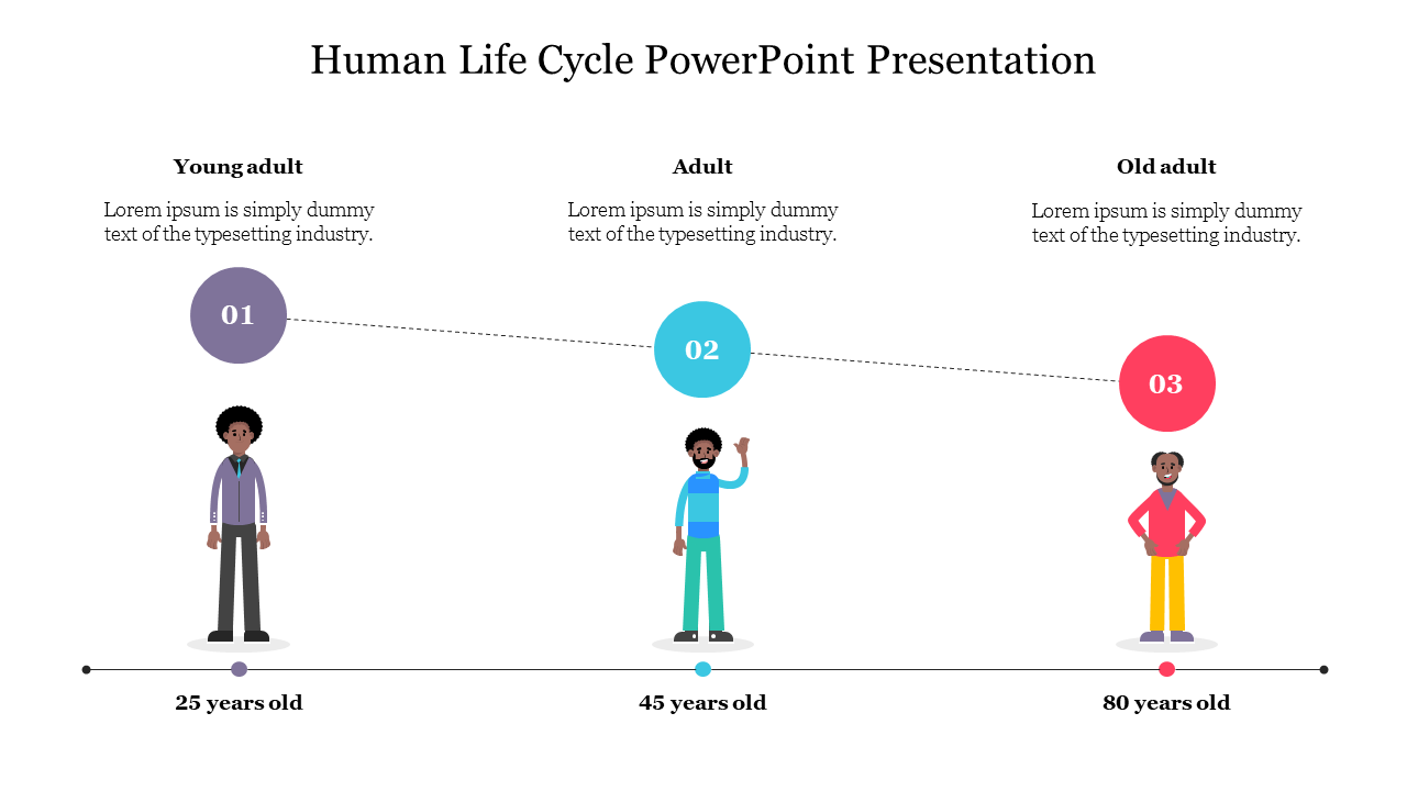 Amazing Human Life Cycle PowerPoint Presentation
