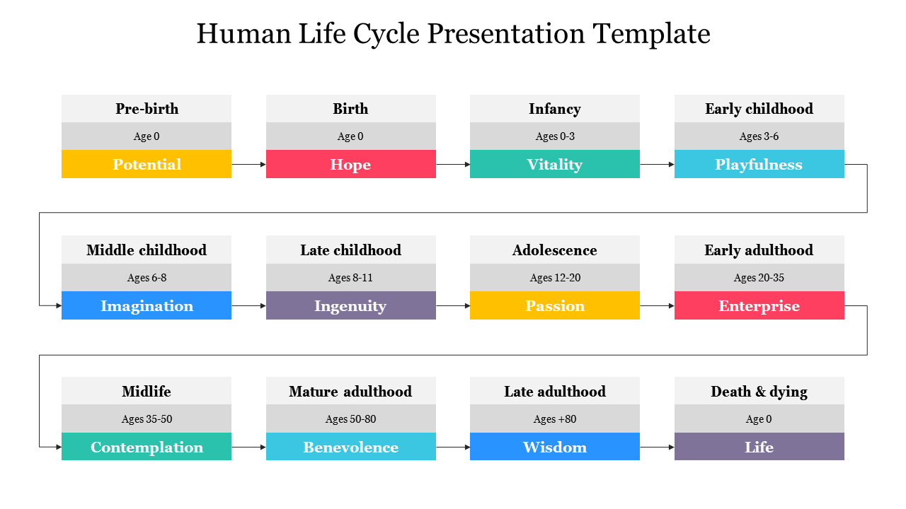 Best Human Life Cycle Presentation Template Slide