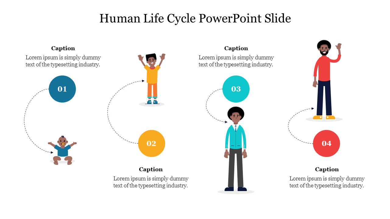 Editable Human Life Cycle PowerPoint Slide Design