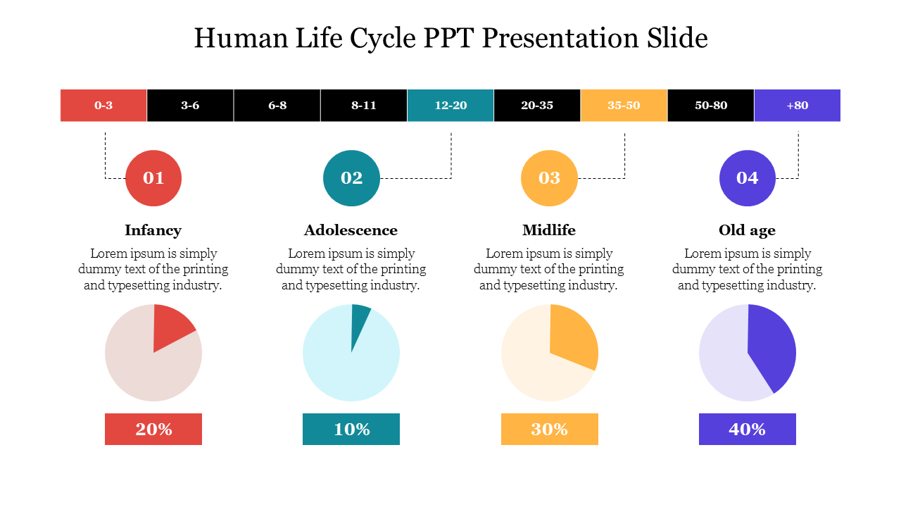 Sample Of Human Life Cycle PPT Presentation Slide