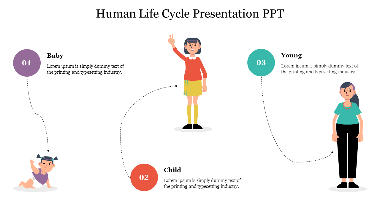 Stunning Human Life Cycle Presentation PPT Design