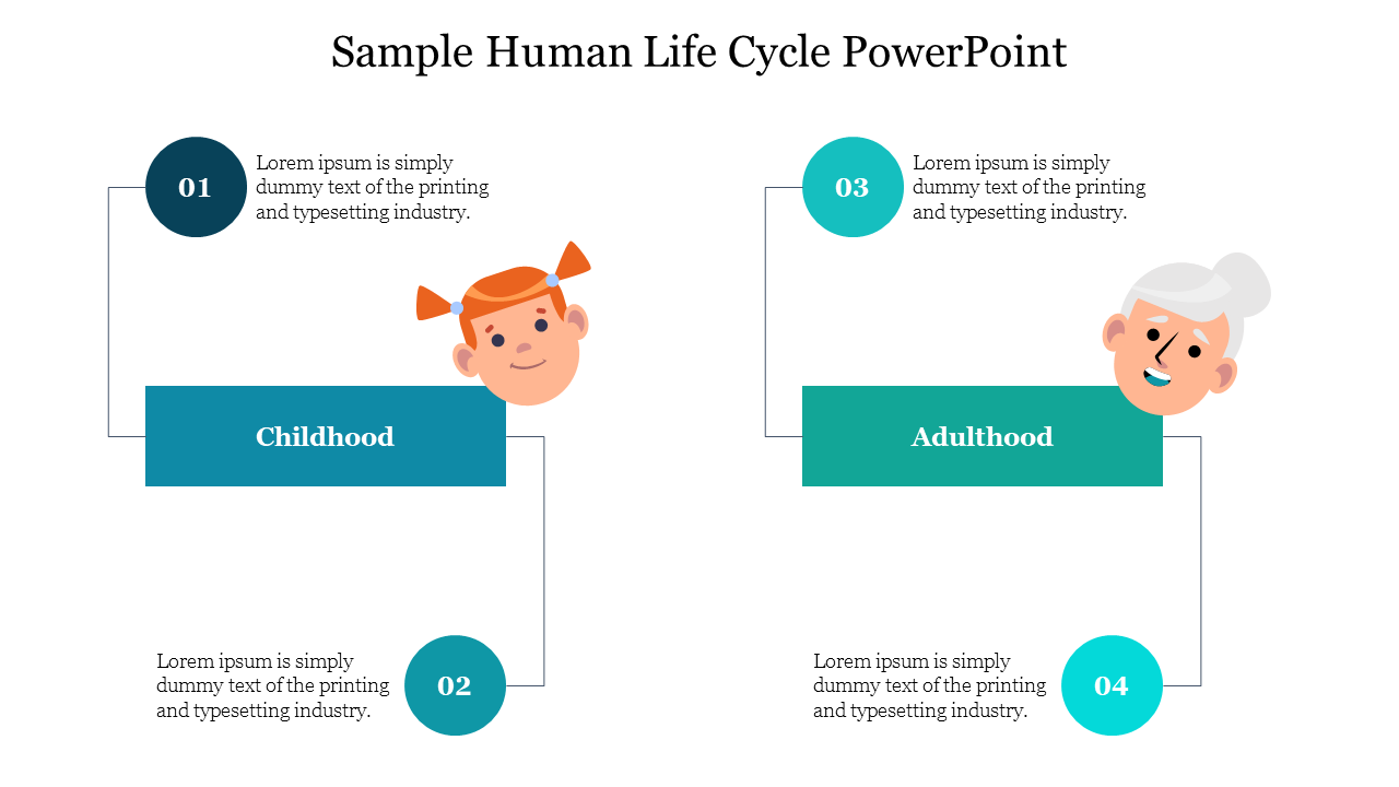 Sample Human Life Cycle PowerPoint For Presentation