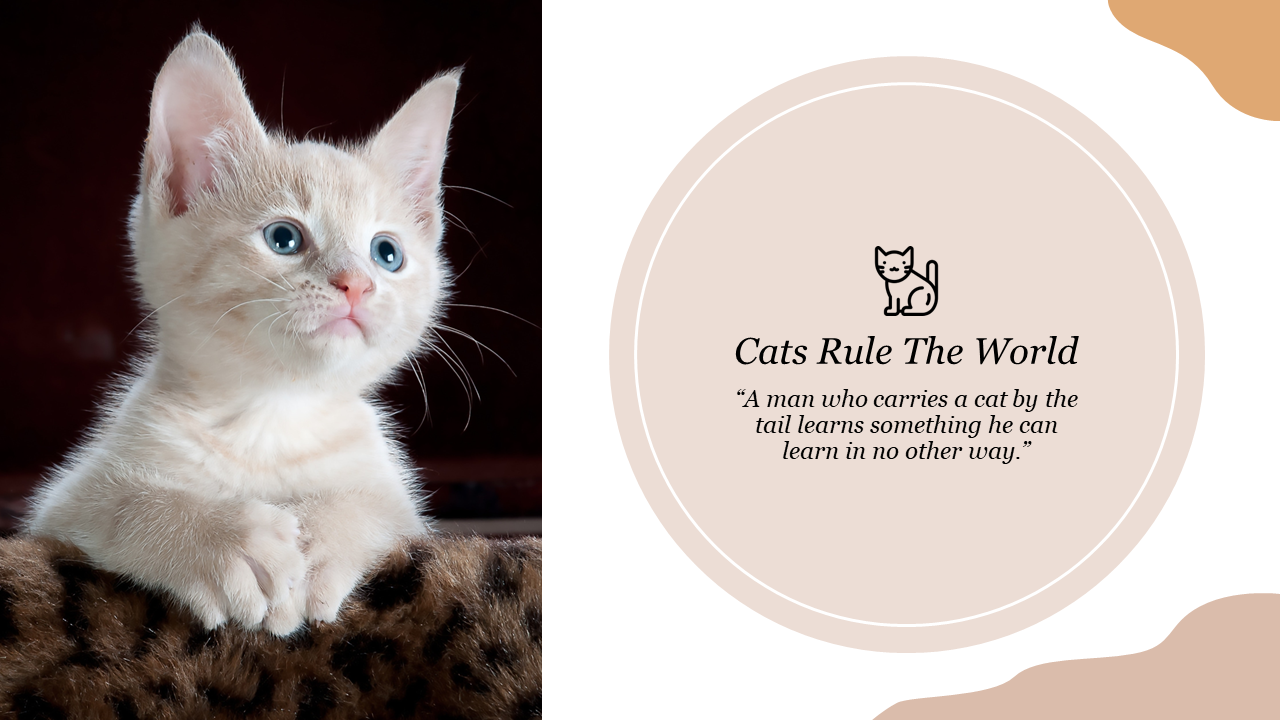 Cute Cat Template For Animals Presentation With Quotes