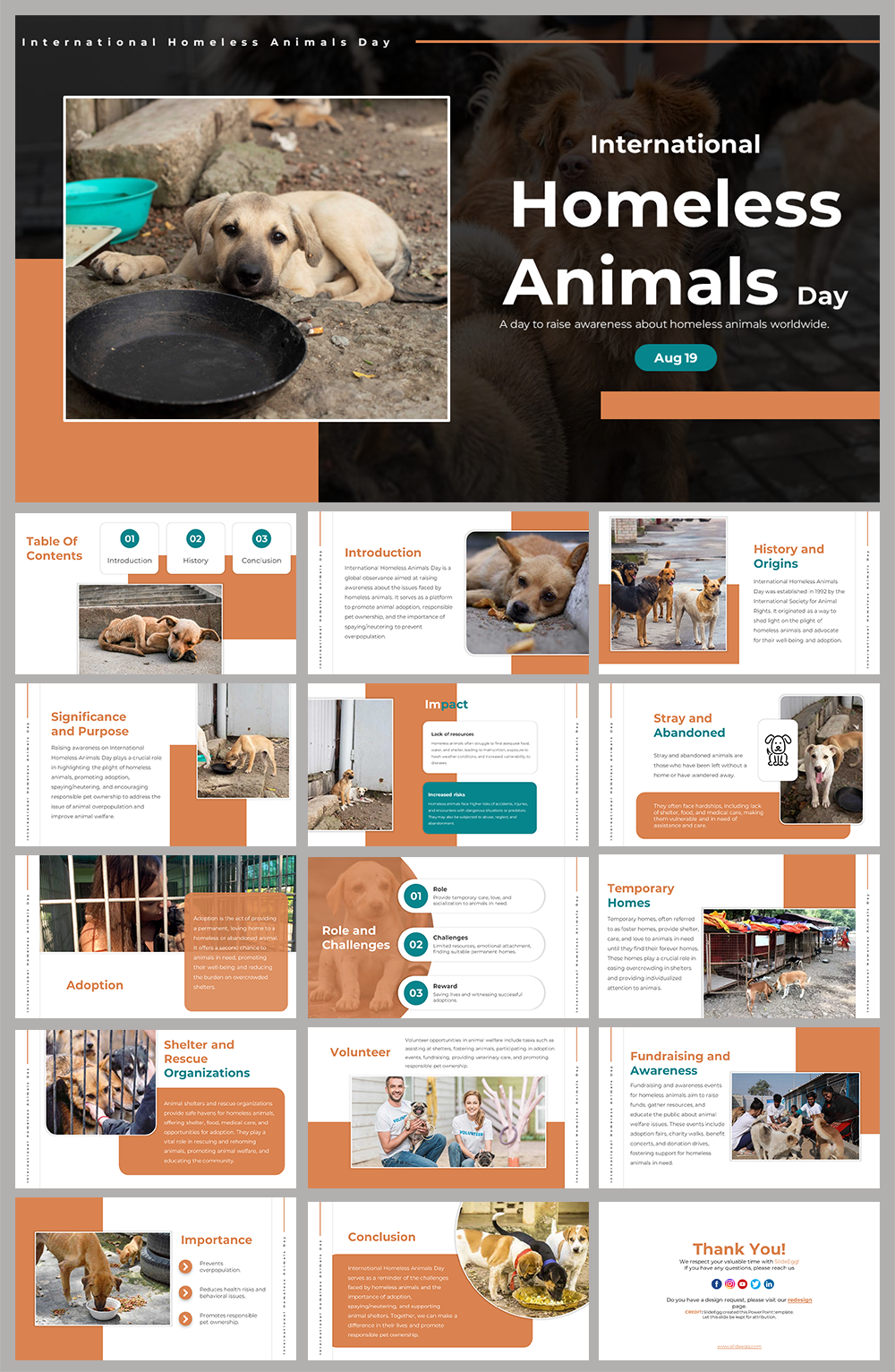 International Homeless Animals Day Presentation Template