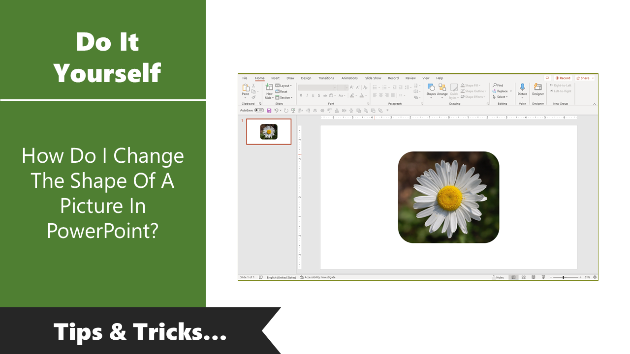 How Do I Change The Shape Of Picture In PowerPoint