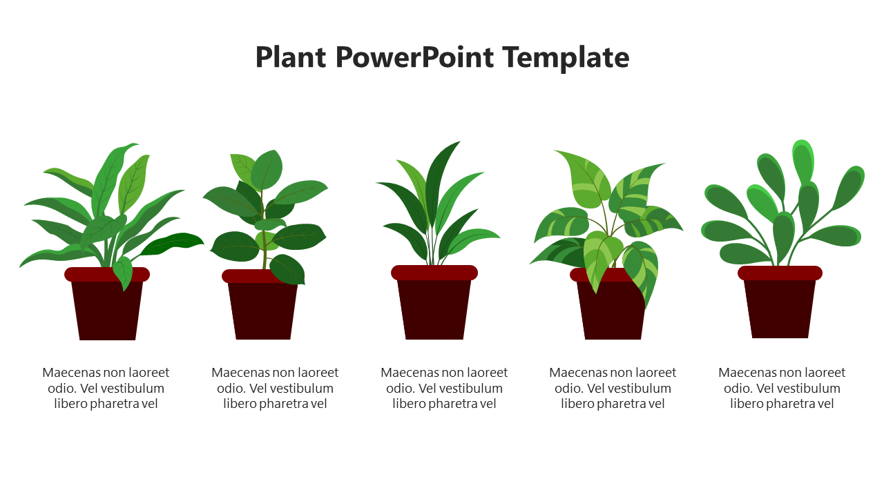 Our Predesigned Plant PowerPoint And Google Slides
