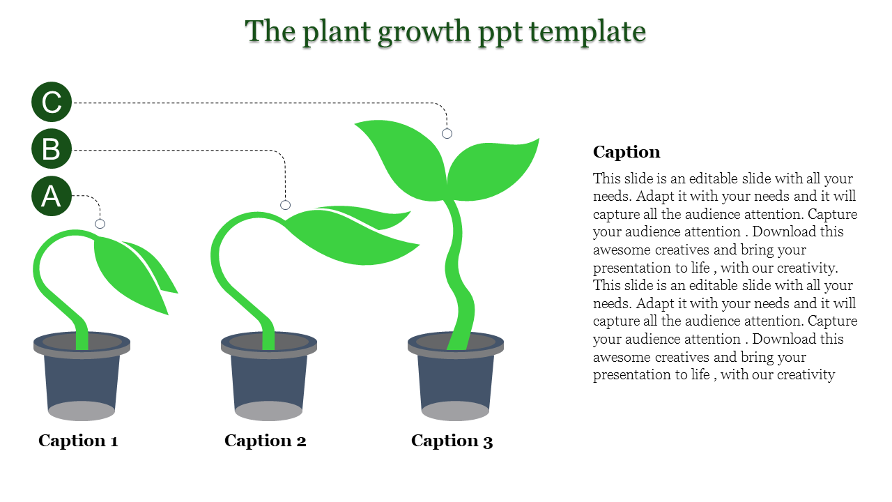 PowerPoint template for plant growth, showing stages from a small seedling to a mature plant with captions for each stage.