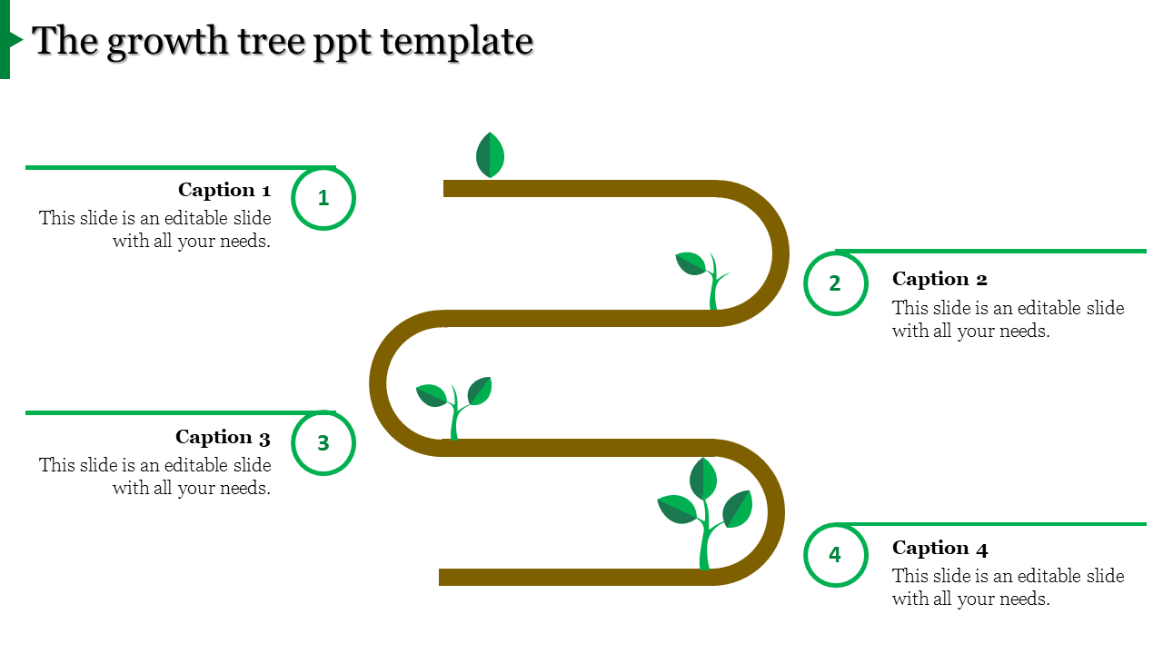 Brown winding path with green leaves and four numbered captions branching out, representing growth stages.