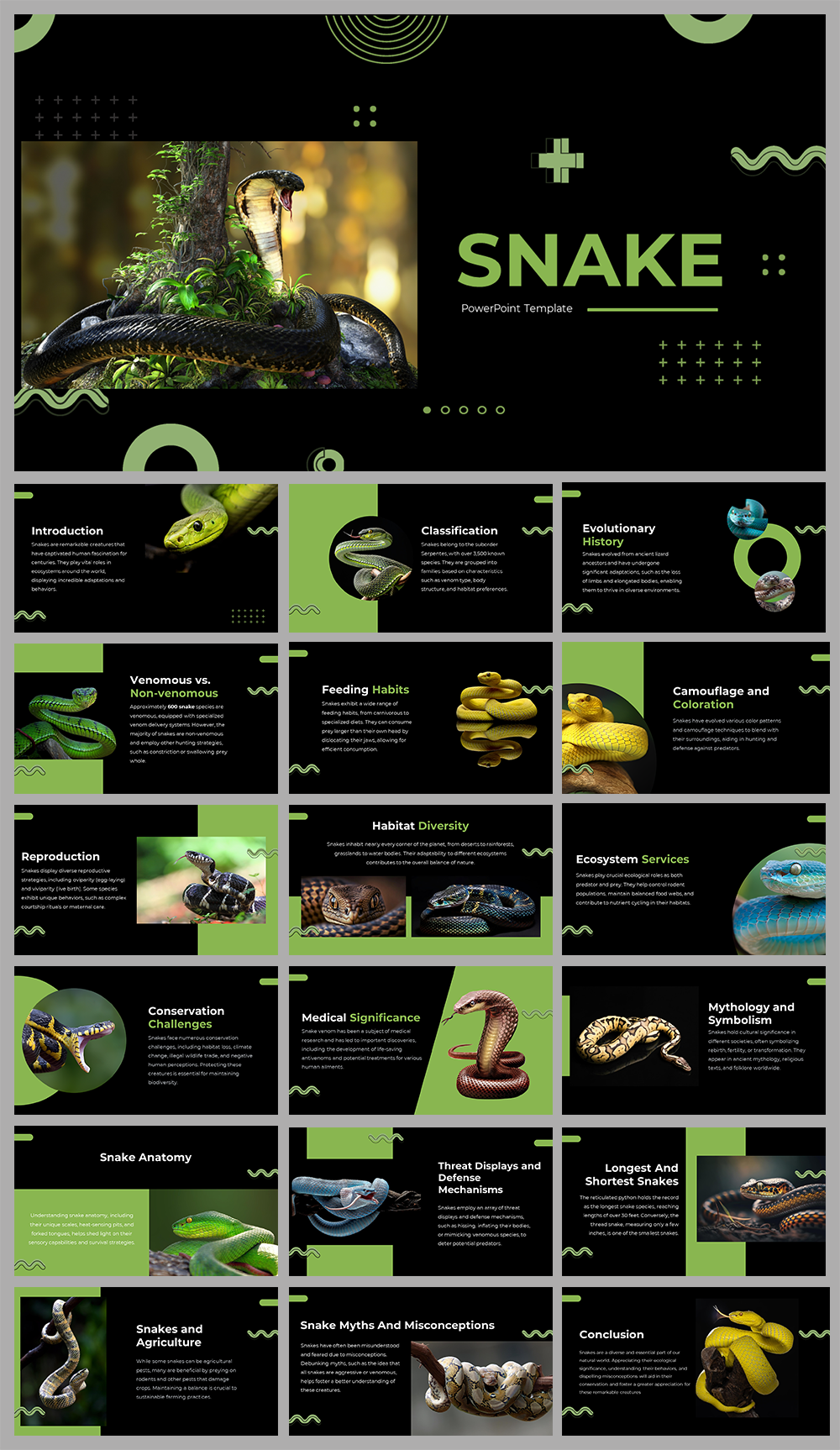 Google Snake Game designs, themes, templates and downloadable