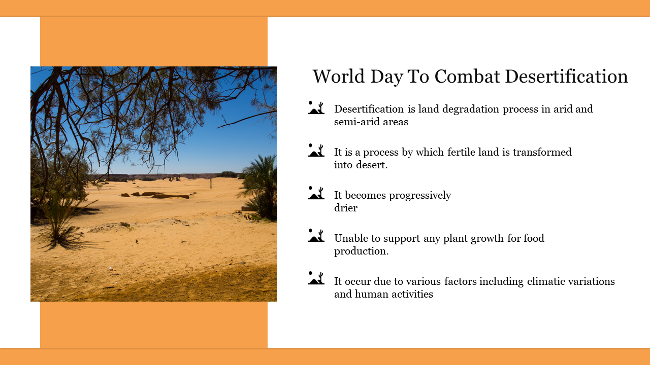 World Day To Combat Desertification Presentation Slides