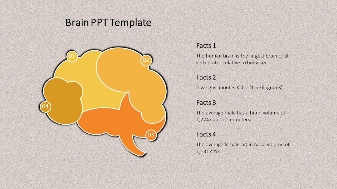Slide with a brain infographic divided into four numbered sections in yellow shades and captions, on a textured background.