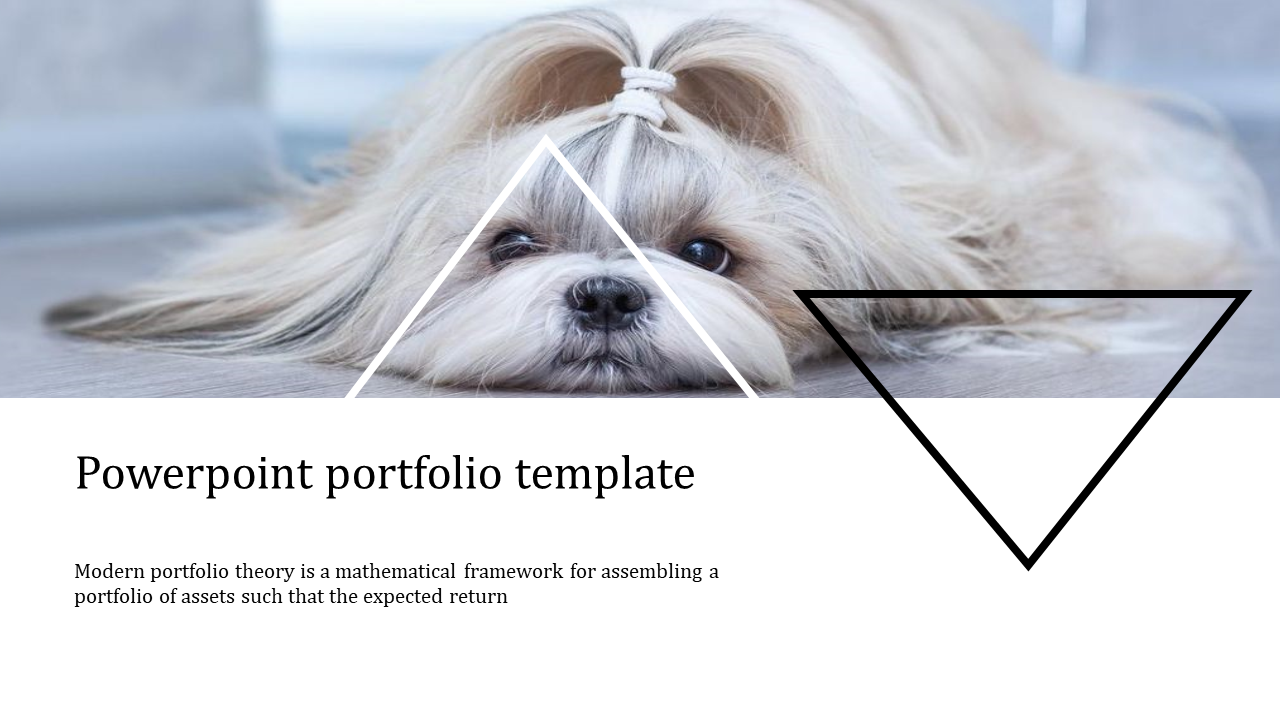  Portfolio slide featuring a cute dog lying down with geometric triangles overlayed on the image.