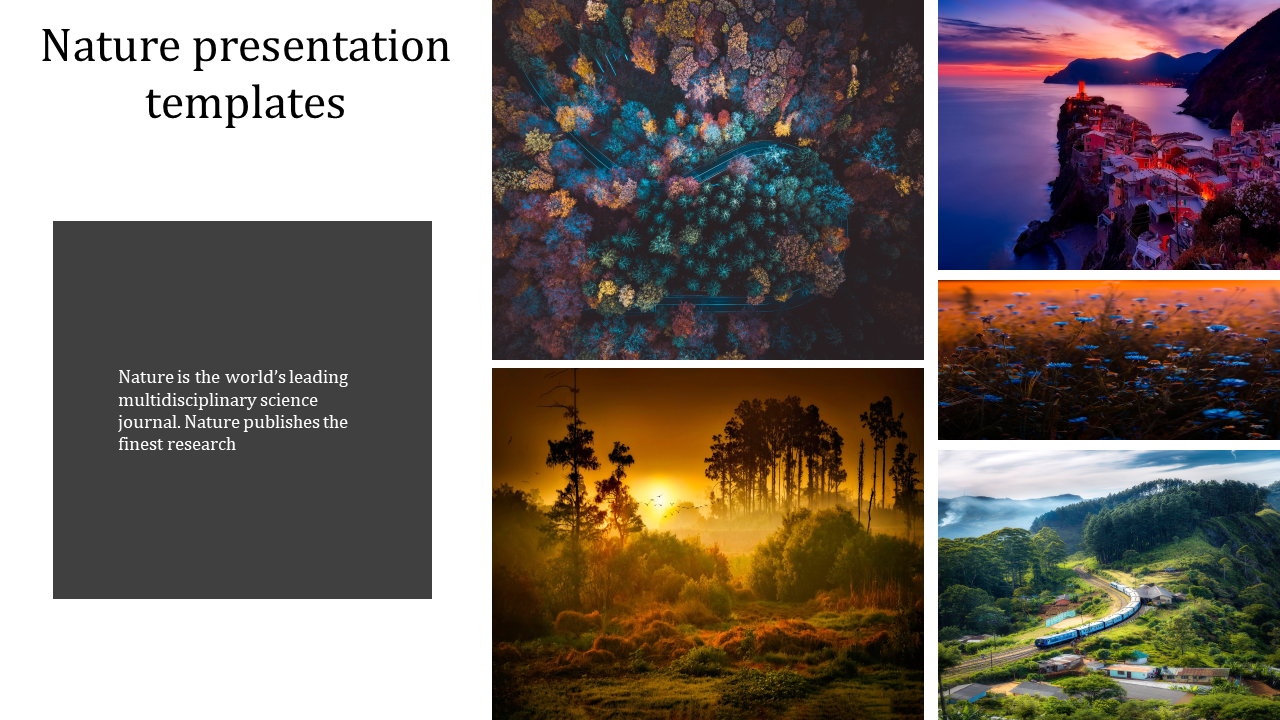 nature presentation templates-nature presentation templates