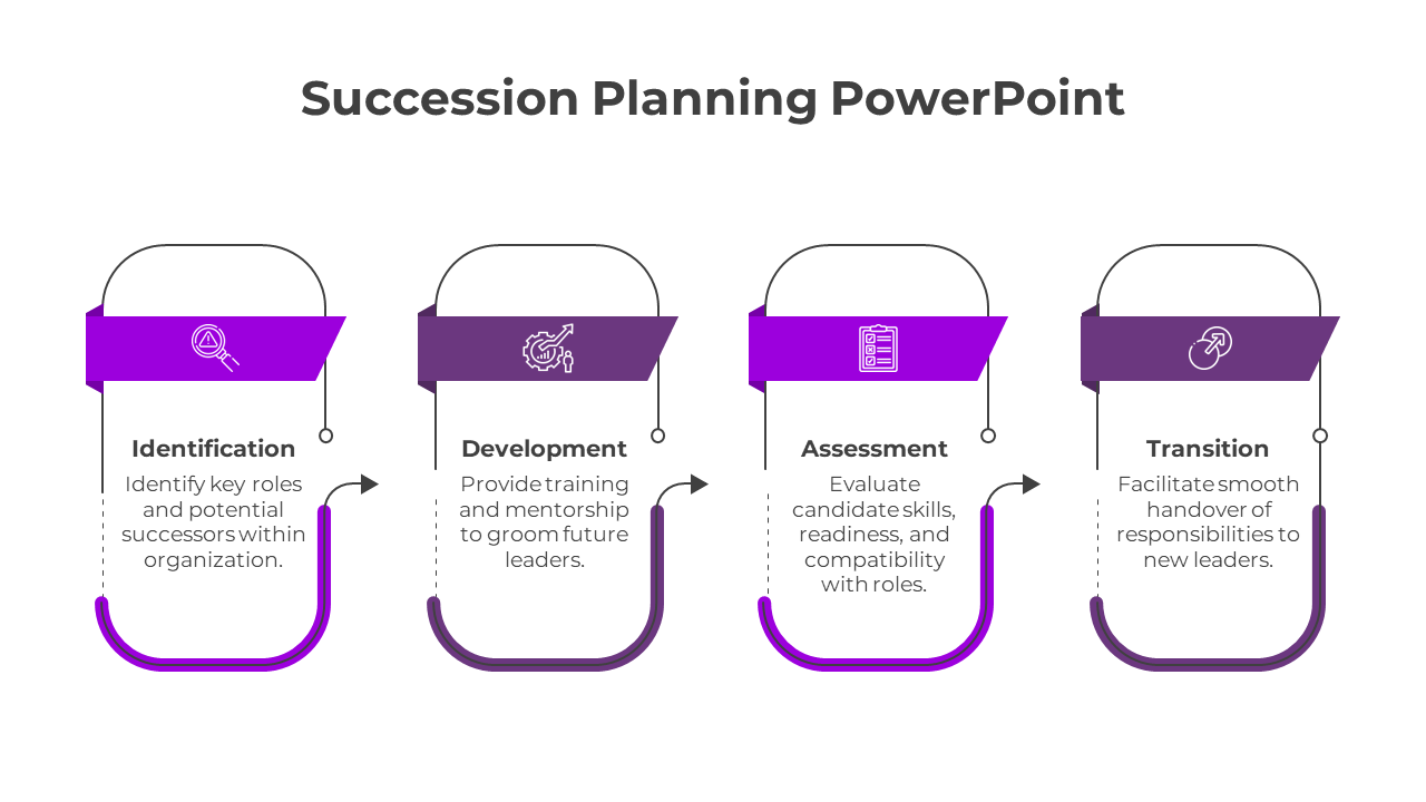 Four step succession planning diagram with purple-labeled stages identification, development, assessment, and transition.