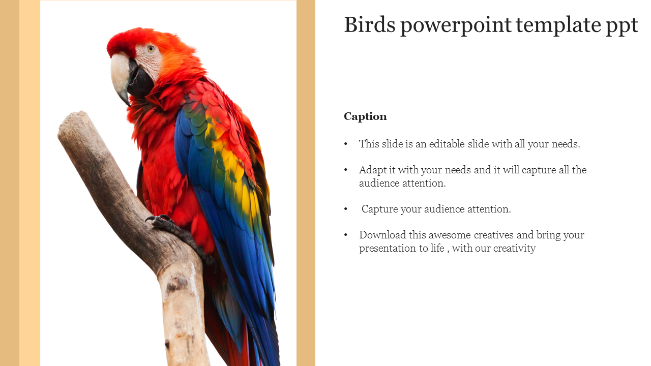 Free - Nice Birds Powerpoint Template PPT