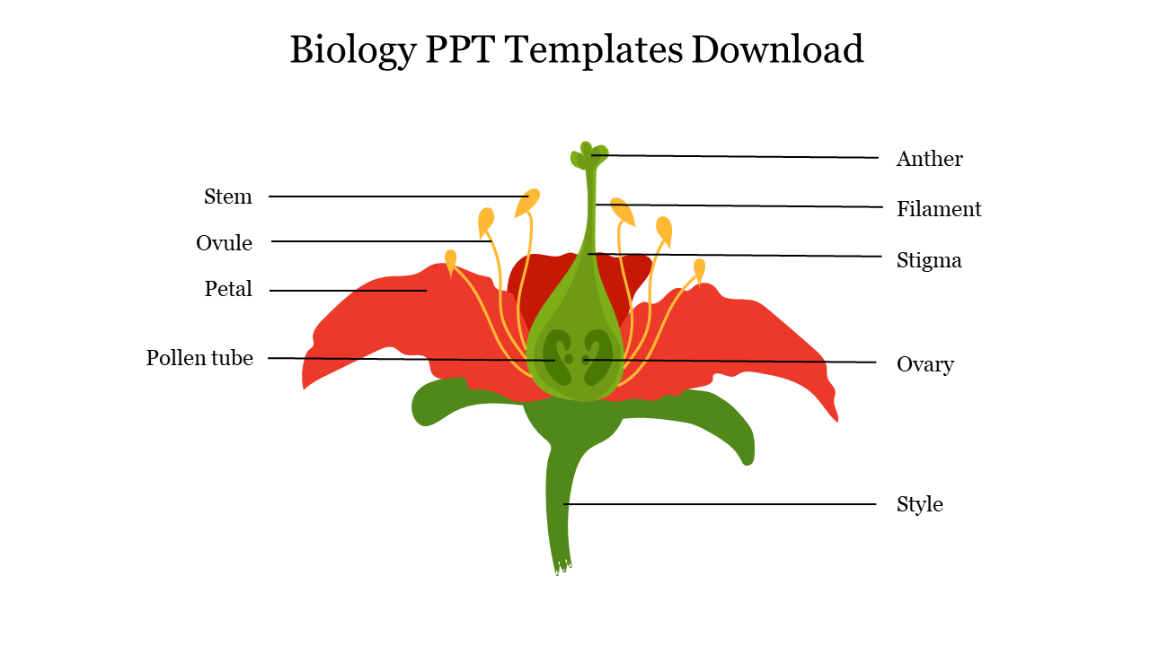 Biology Ppt Templates Free Slide