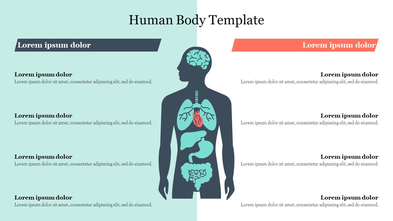 Free - Effective Human Body Template Presentation Slide PPT 