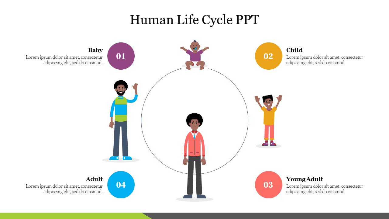 Human Life Cycle PPT