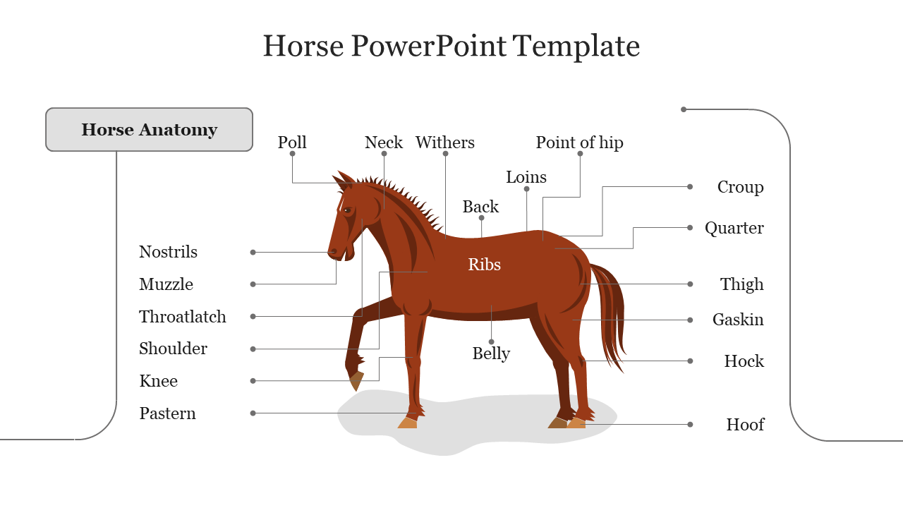 Free - Creative Horse PowerPoint Template Presentation Slide 