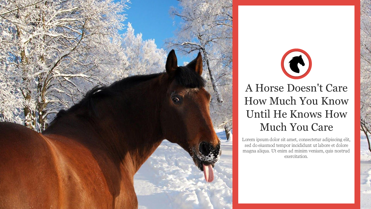 Funny Horse Background For PowerPoint