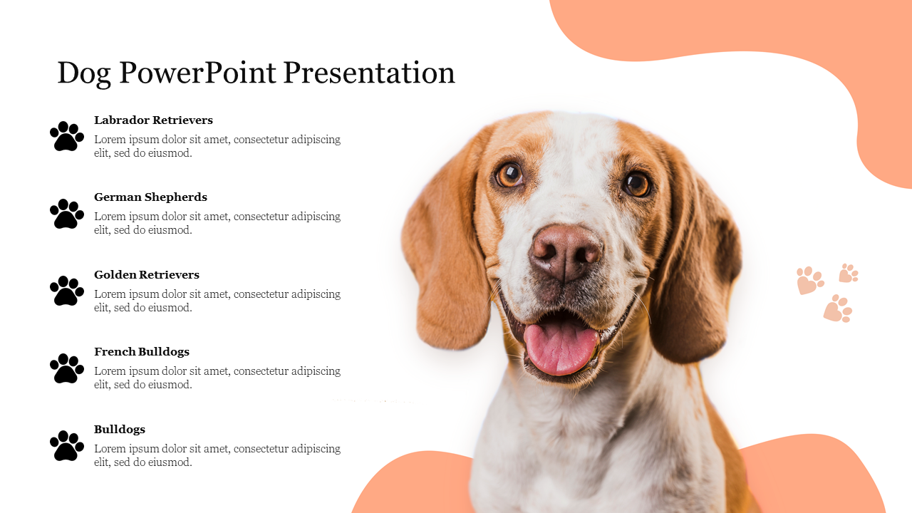 presentation college dog
