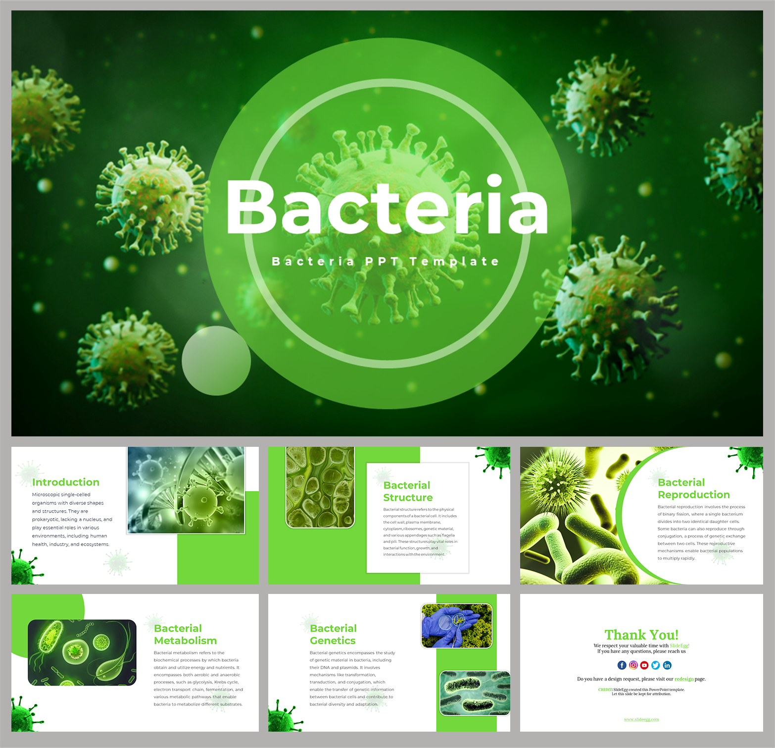 bacteria presentation template