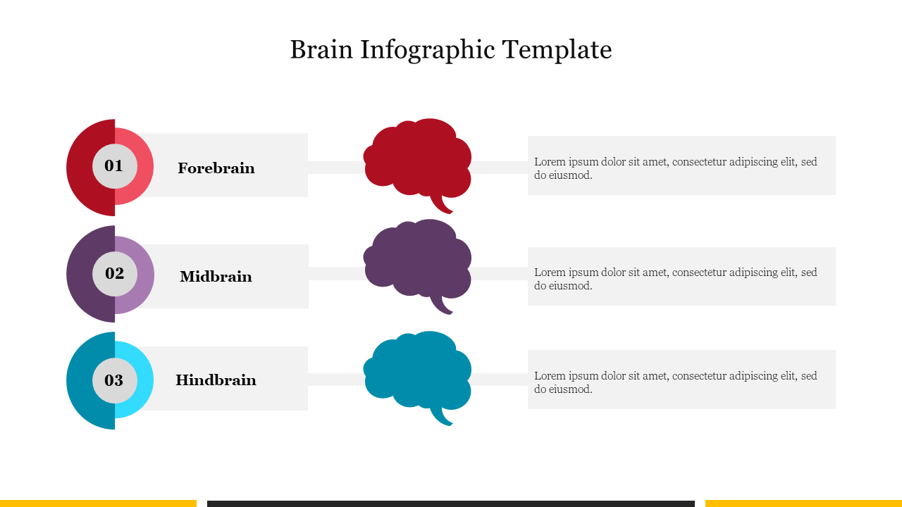 Free - Effective Brain Infographic Template Presentation Slide 