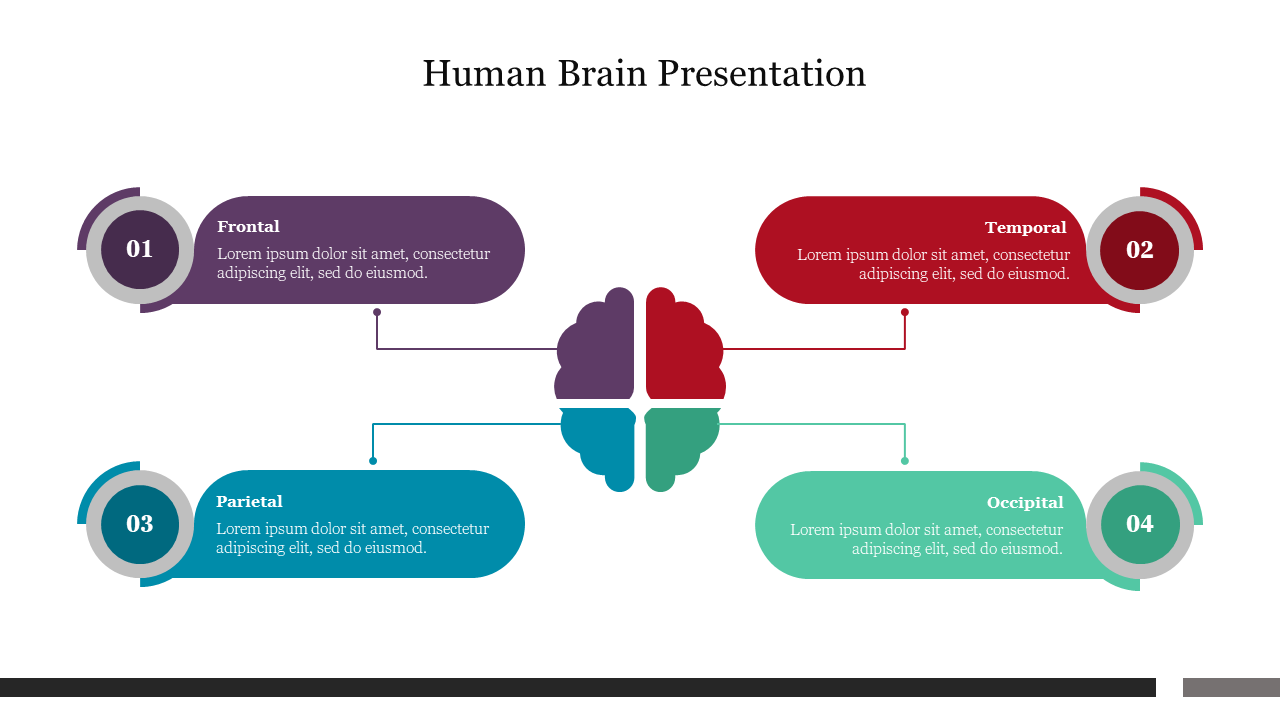 Creative Human Brain Presentation Template Slide PPT
