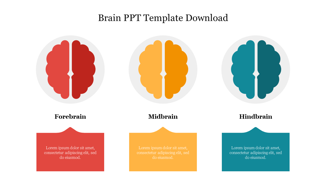 Free - Effective Brain PPT Template Download Slide Presentation