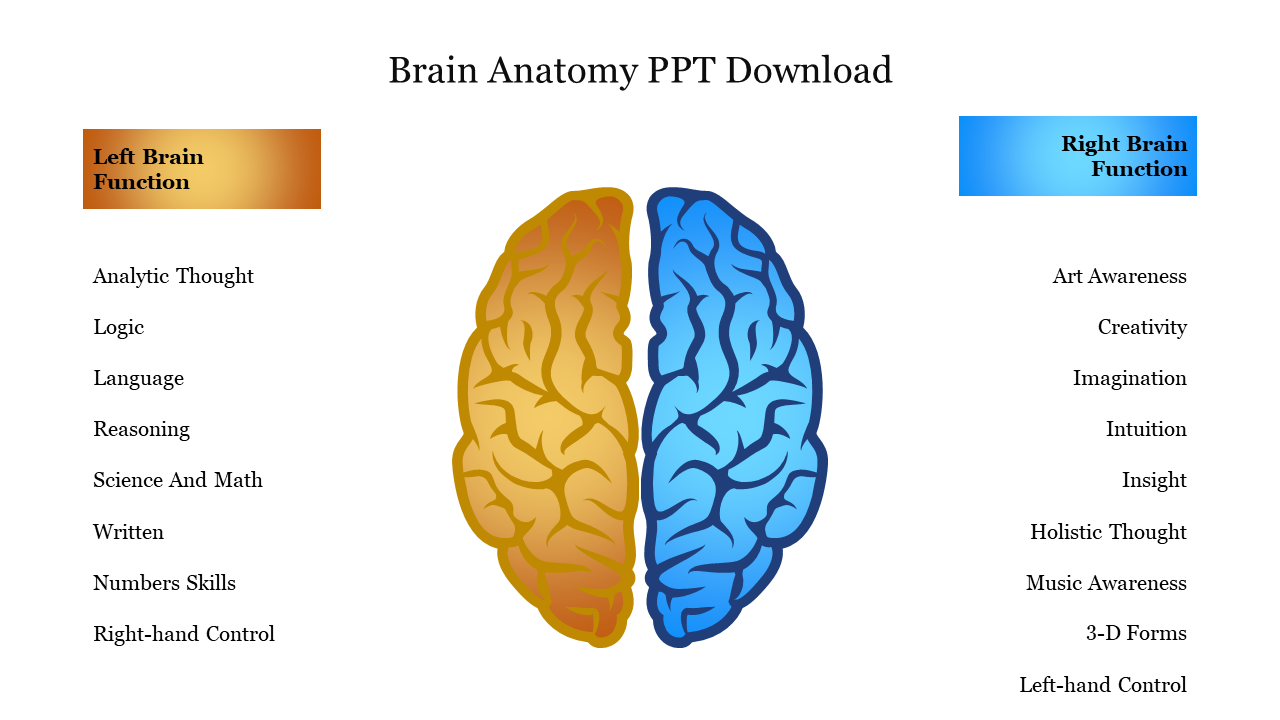 Free - Amazing Brain Anatomy PPT Download Presentation Slide 
