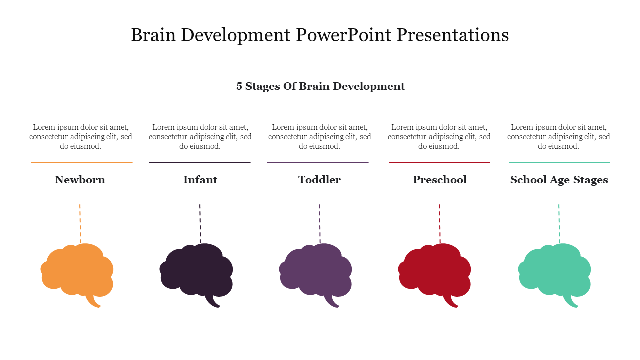 Amazing Brain Development PowerPoint Presentations Slide 