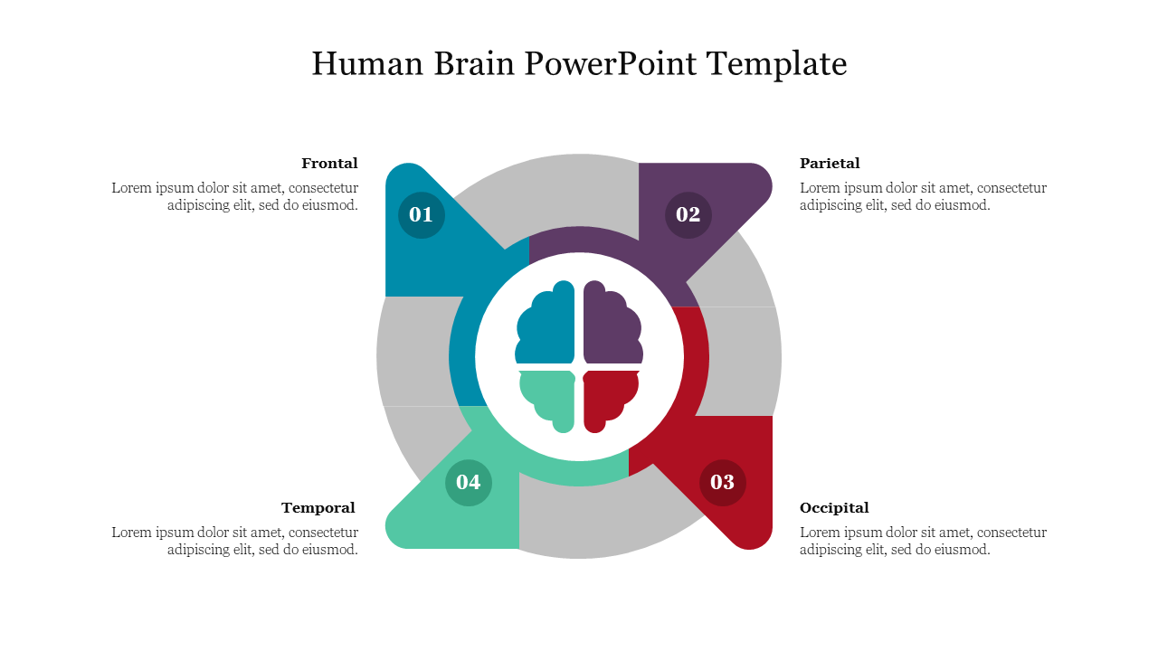 Free - Editable Human Brain PowerPoint Template Presentation 