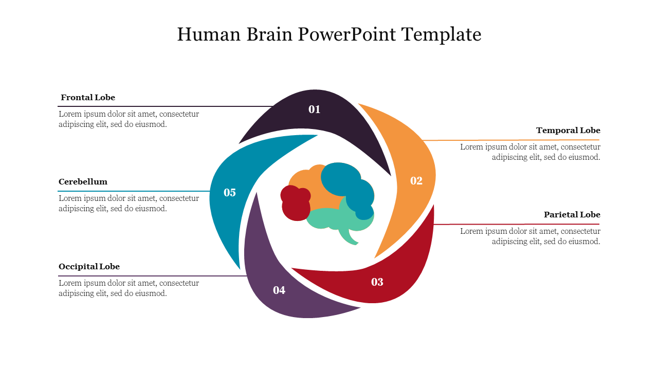 Free - Effective Human Brain PowerPoint Template Download Slide 