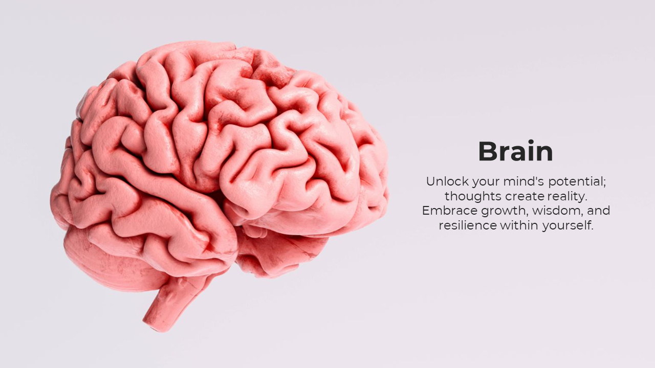Best Brain Background PowerPoint And Google Slides Template