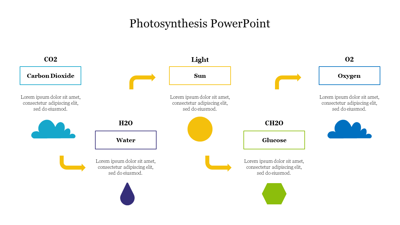 Creative Photosynthesis PowerPoint Presentation Slide 