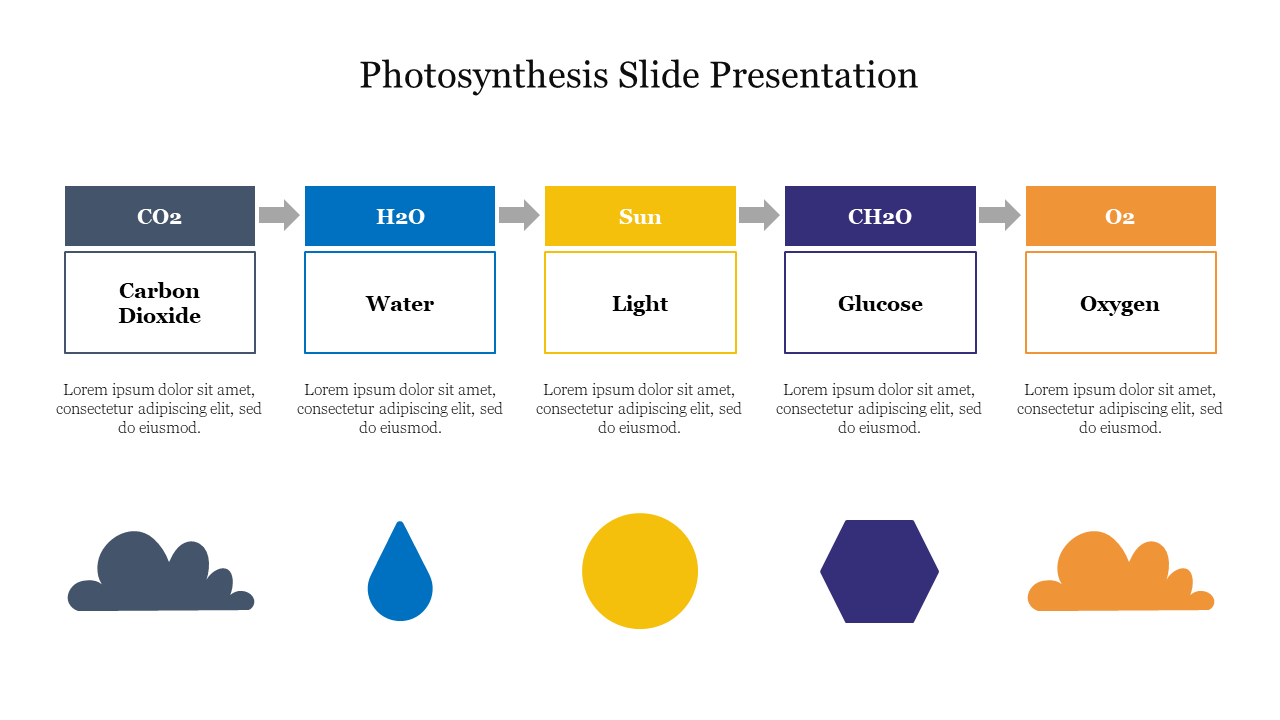 Effective Photosynthesis Slide Presentation Template 