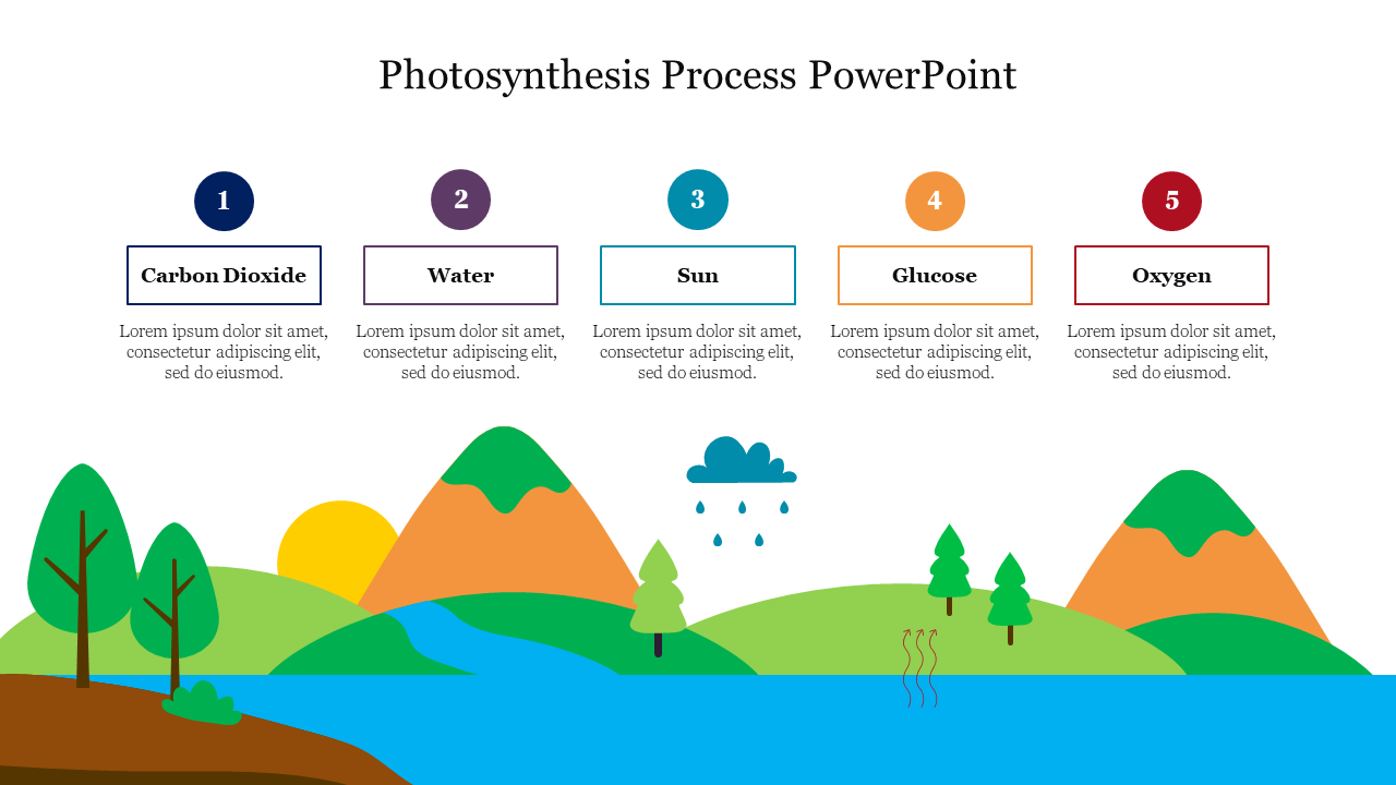 Effective Photosynthesis Process PowerPoint Presentation