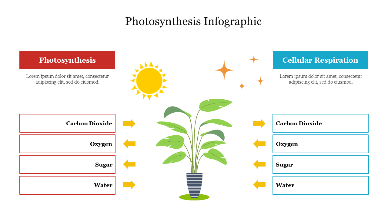 Effective Photosynthesis Infographic Presentation Slide 