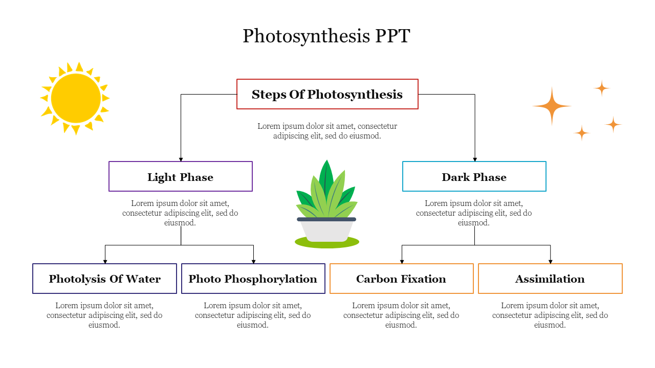 Effective Photosynthesis PPT PowerPoint Template Slide 