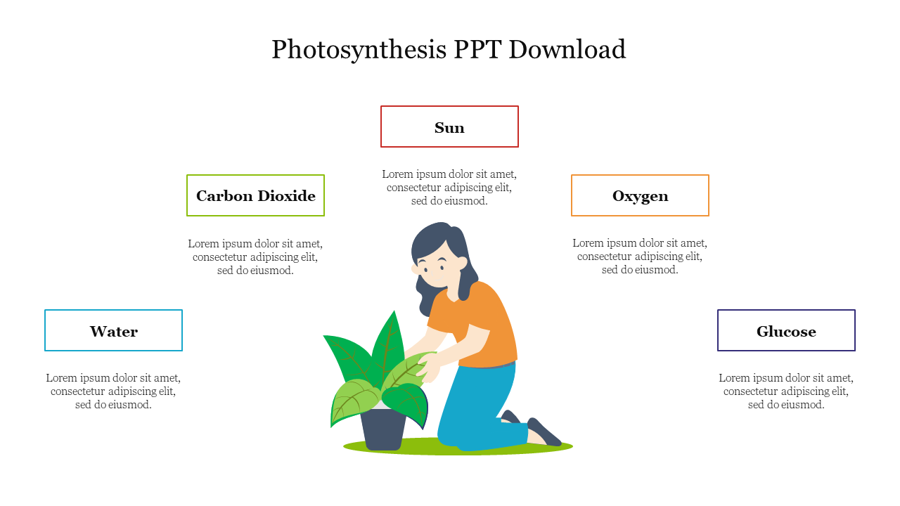 Effective Photosynthesis PPT Download Presentation Slide 
