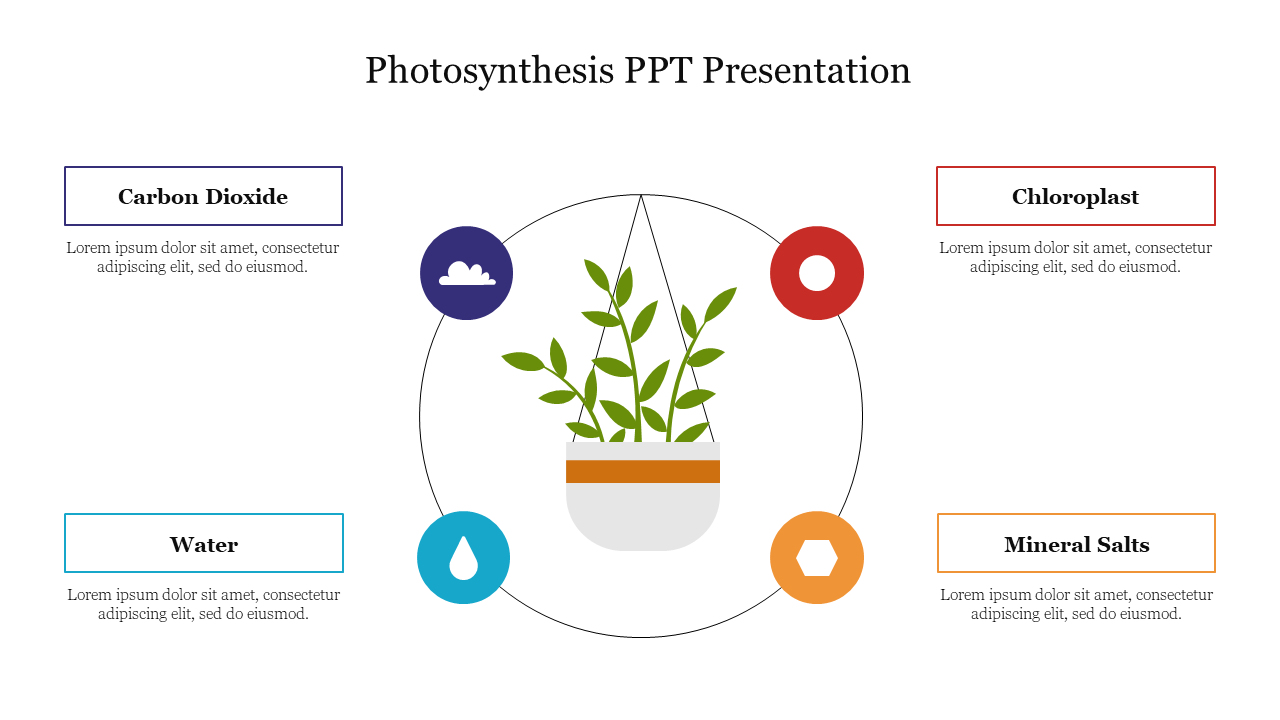 Best Photosynthesis PPT Presentation Template Slide 