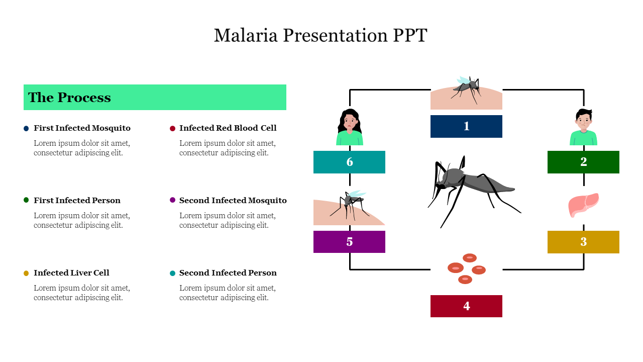 Effective Malaria Presentation PPT PowerPoint Slide 