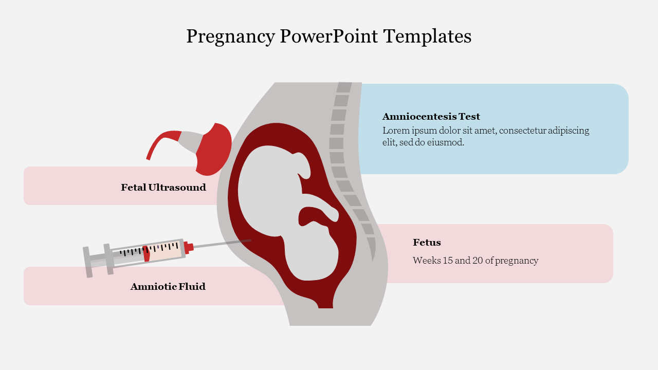 Free - Effective Pregnancy PowerPoint Templates Presentation 