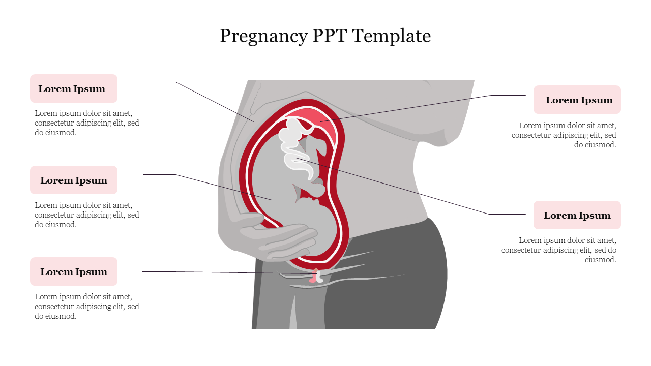 Creative Pregnancy PPT Template Presentation Slide 