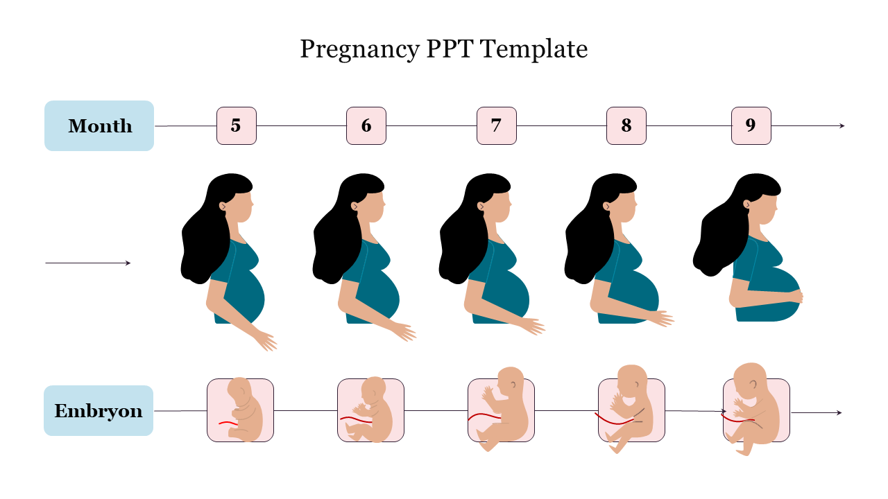 Free - Creative Pregnancy PPT Template Presentation Slide 