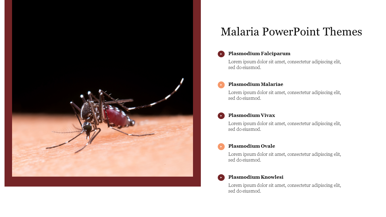 Effective Malaria PowerPoint Themes Template Slide 