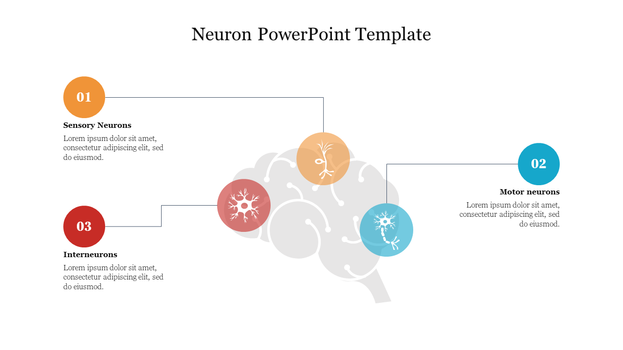 Neuron PowerPoint Template Free