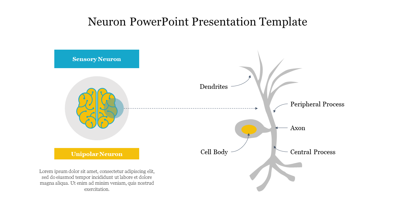Neuron PowerPoint Presentation Template