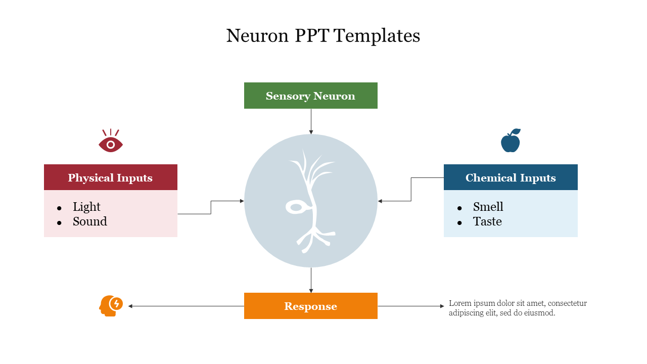 Neuron PPT Templates Free