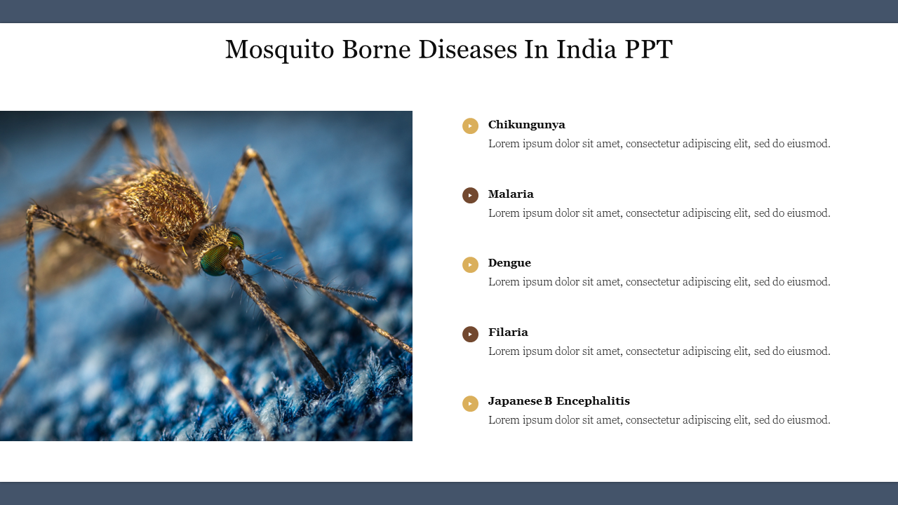 Get Now! Mosquito Borne Diseases In India PPT Presentation